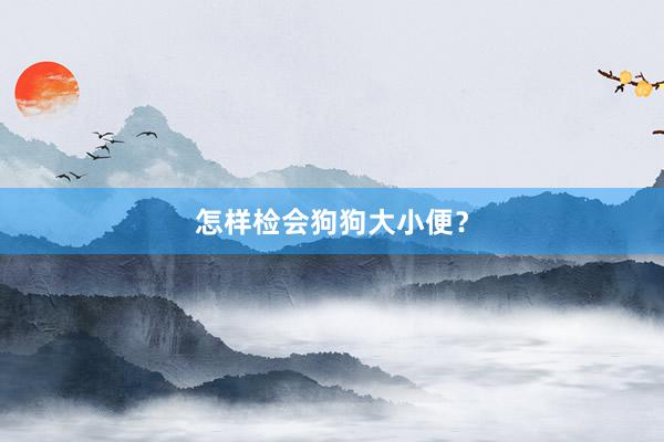 怎样检会狗狗大小便？